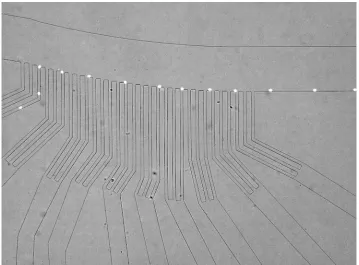 Figure 2-22 Separation profile of 5 μm and 10 μm beads in device II 
