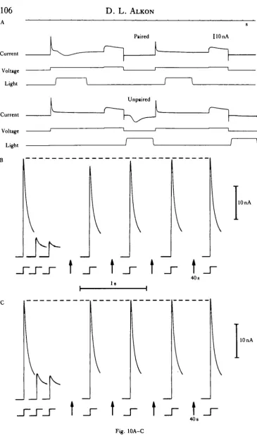 Fig. 10A-C
