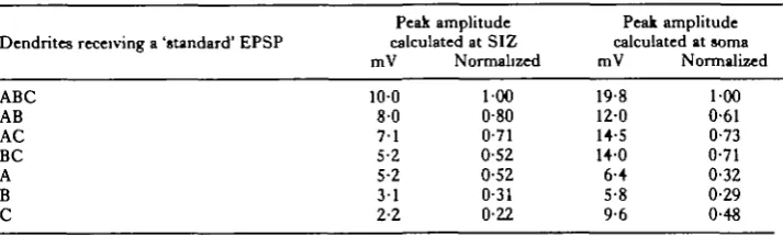 Table 1. Values of the peak amplitudes of composite'EPSPs for different combinationsof'standard'EPSPs