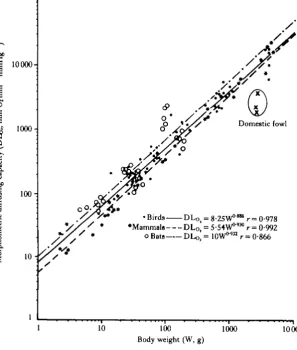 Fig. 7. Double logarithmic plot of the mean total morphometnc pulmonary diffusing capacity(DL02) against body weight (W)