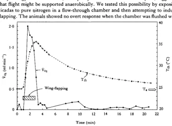 Fig. 4. Thoracic temperature (Tmmannifera.) and Voj during tethered flapping (attempted flight) in Fidiana The specimen weighed 2-33g; T,, ambient temperature.