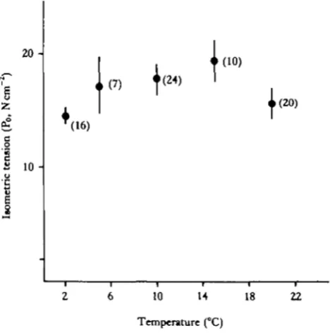 Fig. 2. Effects of temperature on maximum Ca2+-activated tension development by single fast fibres.The number of fibres used is shown in brackets.