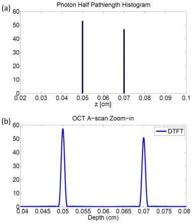 Figure 2.5.Image formation process for the toy example with two targets.(a)