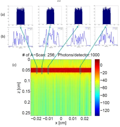 Figure 2.10. OCT Image formed by stitching 512 A-scans from the example with one