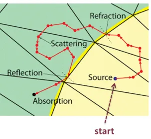 Figure 3.2. The optical properties of tissues.