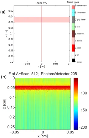 Figure 5.1. Monte Carlo simulation of a single layer biological tissue (dermis). The