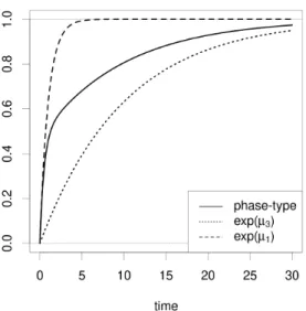 Figure 2: Phase-type distribution for moving from state 2 to state 1, for µ 1 = µ 2 = 1 and µ 3 = 0.1