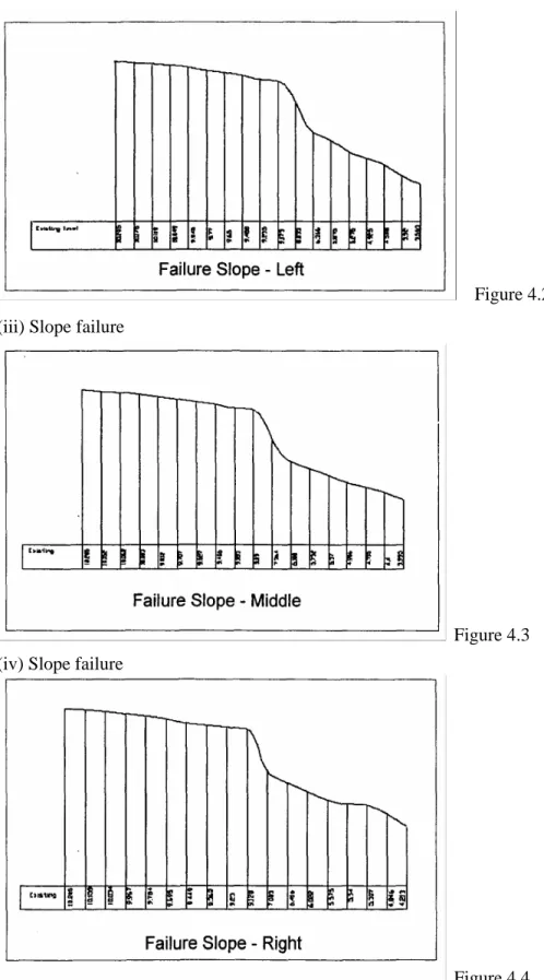 Figure 4.3  (iv) Slope failure 