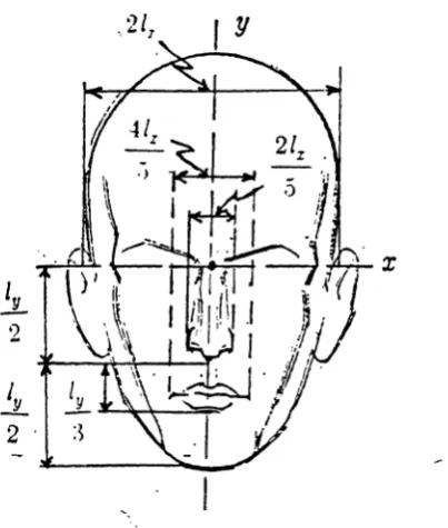 Fig. 2. He_ad Model For Head and Shoulder Images