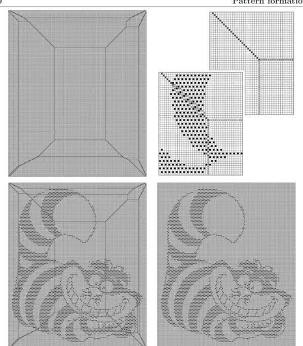 Figure 5.5 Illustration of the Cheshire cat effect. Top left: a realization of the master protocol, in a rectangular geometry (L x , L y ) = (200, 240) on the  max-imally filled background