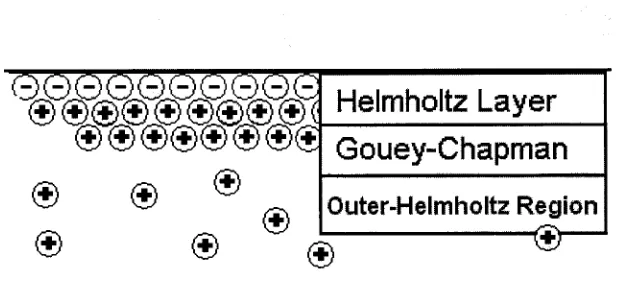 Figure 3. Interactions at the capillary wall that fuel electroosmoticflow. Not shown: hydrated anions in the diffuse layer(Outer-Helmholtz region).
