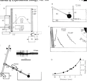 Fig. 1. Experimental arrangement and conditions. (A) Opto-mechanical generation of ramp-typestimuli and a stimulus programme