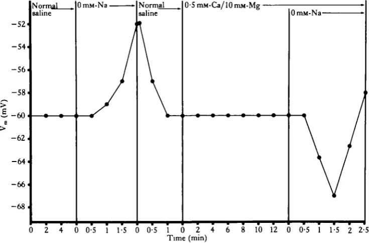 Table 3. Deviation between predicted and observed values fortial of the membrane poten- Lymnaea heart ventricle muscle cells at various extracellular potassium con-centrations