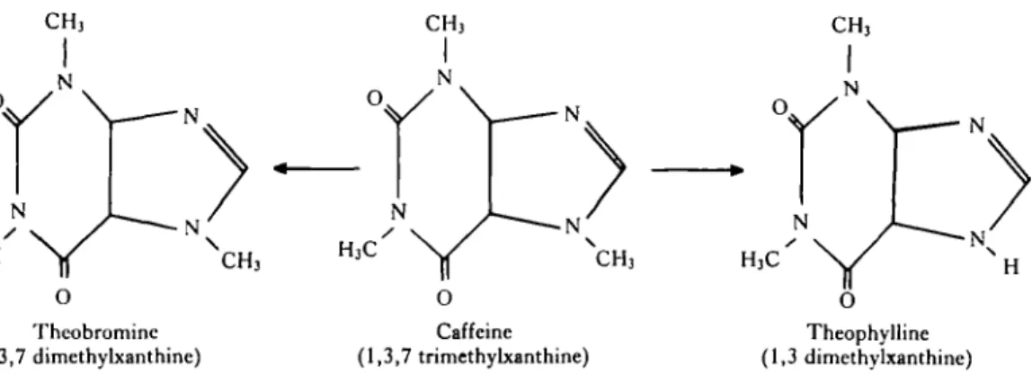 Fig. 13. The structural interrelationship of caffeine, theophylline and theobromine.