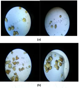 Fig 4: Optical microscopy of a) F2 and b) F4 formulations 