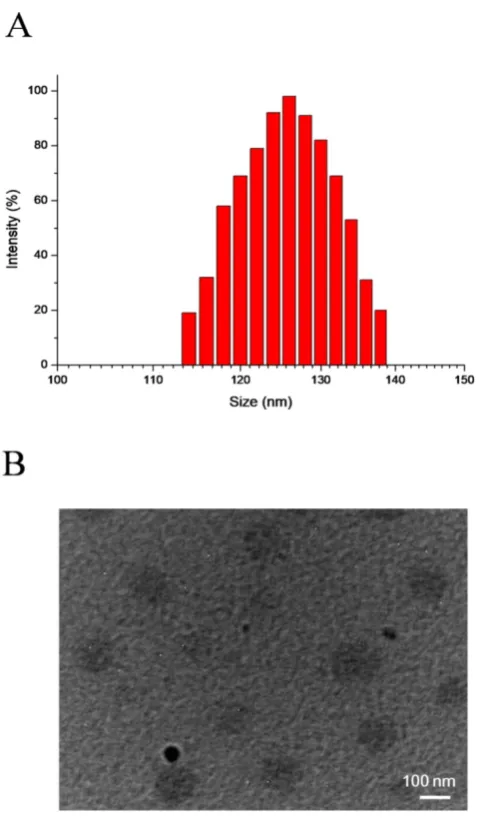Figure 1. DLS results (A) and TEM image (B) of SePTX NPs. 