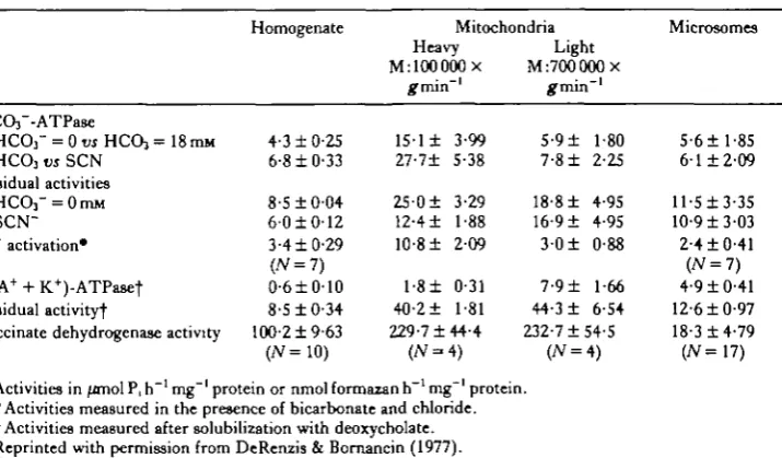 Table 5. Anion-dependent ATPase, (Na + + K+)-ATPase and succinate dehydro-genase activity in the goldfish gills