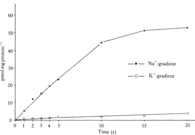 Fig. 8. Effect of sodium-gradient on initial linear uptake of sulphate by rabbit ileal brush bordermembranes