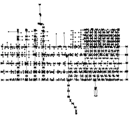 Figure 5. Micropolis Network 