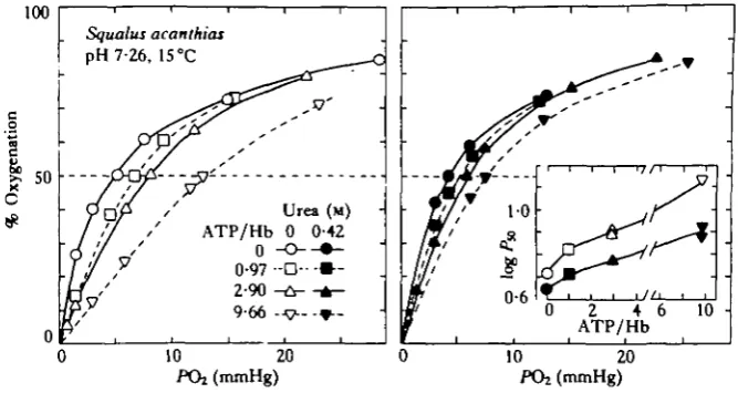 Fig. 5. Effects of urea on Oi equilibria of the stripped haemolysate measured at ISin the absence (open symbols) and presence (closed symbols) of 0'42 M-urea, in 0-1 M-Na-Hepcsbuffer