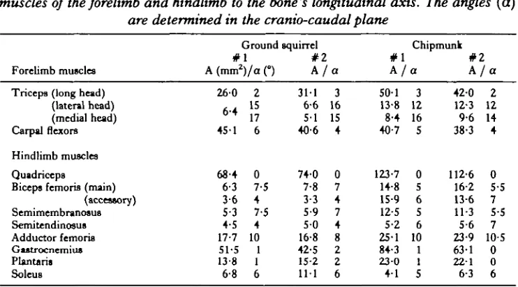 Table 2. Anatomical data for the mean fibremuscles of cross-sectional area and angle of the the forelimb and hindlimb to the bone's longitudinal axis