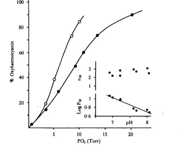 Fig. 3. The effect of pH on oxygen binding by the haemocyanin of Holthuisana. Closed circles(pH7-22), open circles (pH7-6)