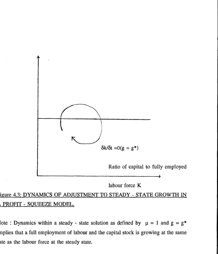 Figure  4.3:  DYNAMICS  OF  ADJUSTMENT TO STEADY  -  STATE  GROWTH  IN  A  PROFIT -  SQUEEZE  MODEL.