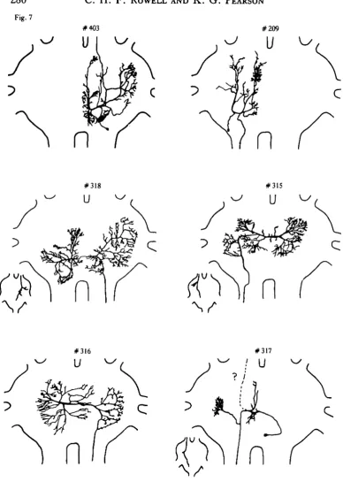 Fig. 7u#403