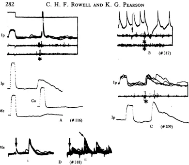 Fig. 8. Recordings from TONs. A, C, Calibration pulse 2mV, 10traces). In D(ii) the ISI is 0-05 s; the lst, 5th, 9th, 13th, etc