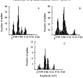 Fig. 13. Spike height histograms of MN motoneuronea that became active during MN bursts whichoccurred (A) during an MGON-evoked primary pattern in an intact buccal-cerebral preparation or