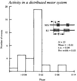 Fig. 3. Histogram of phase position of MN bursts relative to R3 bursts during MGON-evokedprimary rhythms