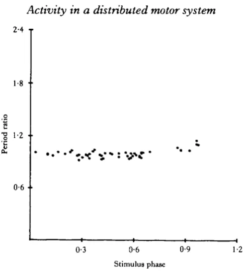 Fig. 6. Driving input to the brain in primary pattern occurs during the R3 portion of the cycle (A).When a CBC blocking pulse (between arrows) is applied for the full duration of the R3 burst, the brain