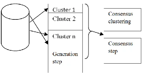 Figure 1. Process of cluster ensemble  