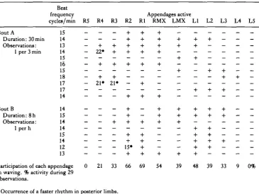 Table 2. Observations of waving on one individual Palinurus mauritanicus