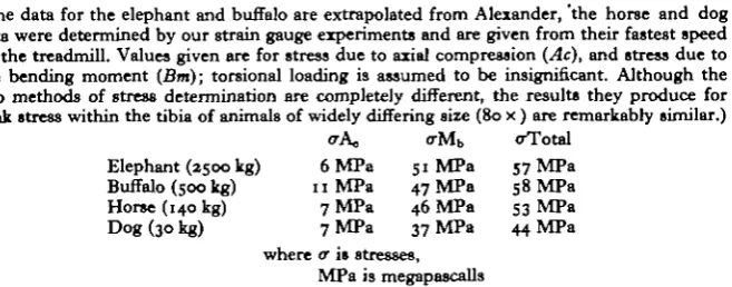 Table 3. Stresses calculated for the tibial midshaft of