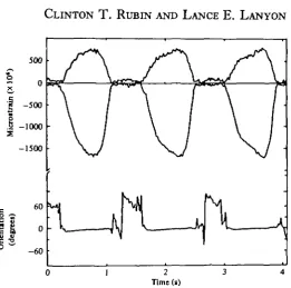 Fig. i. Peak principal tensile (upper trace) and compressive (lower trace) strain on the caudalsurface of the radius of dog B, together with the orientation of the principal compressive strain