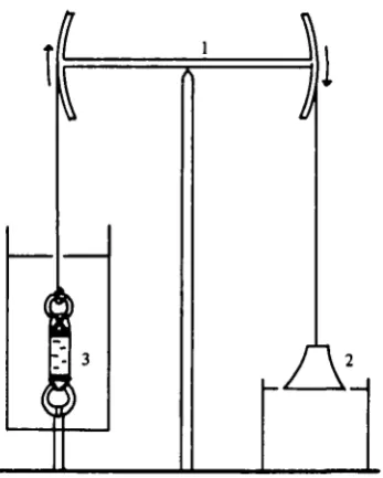 Fig. i. Balance beam and hyperbolic weight device for creep test*. The beam (i) transfers theforce from the hanging weight (2) to the tissue preparation in a chamber filled with testsolution (3)