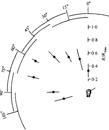Fig. a. A portion of the characteristically bursty DCMD response to movement of a 2° lightspot at io°/8 through the visual field of one eye
