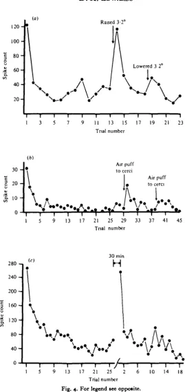 Fig. 4. For legend see opposite.