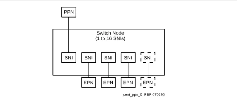 Figure 5  shows the CSS linking the PPN to EPNs by the SNI circuit packs in a SN carrier