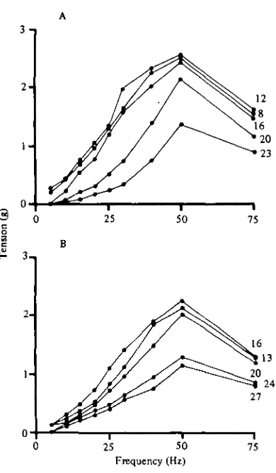 Fig. 6. The effect of stimulation frequency on the maximum tension produced by the stretchermuscle