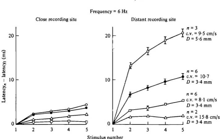 Fig. 7. Variability of the stimulus to response latency between different animals (Type IIpreparation)