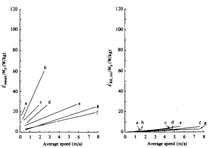 Fig. 4. Mass-specific metabolic rate £ M t o l lenergy £with body size. Animal key: a, 43 g painted quail; b, 100 g chipmunk; c, 1-2 kg guinea fowl;/M, (left graph) and rate of increments in kinetic K B | u>t/Mt (right graph) are plotted as a function of s