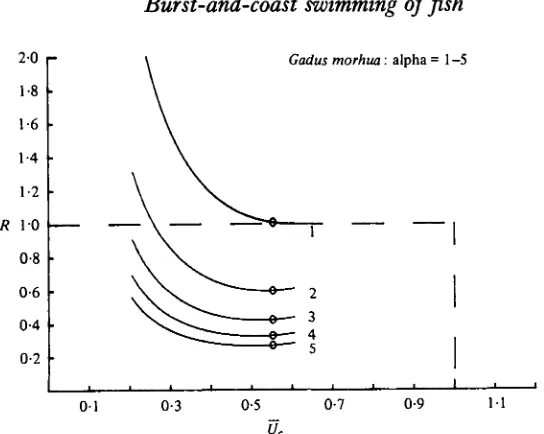 Fig. 4. The energy ratio Rintermittent swimming of cod for 5 different values of the ratio swimming drag over gliding against the normalized average velocity Uc of one example ofdrag, Alpha.