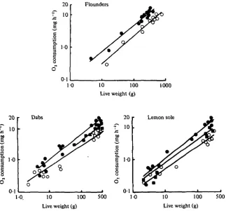 Fig. 1. The relationship between standard oxygen consumption and body weight for the threespecies of flatfish at various adaptation temperatures