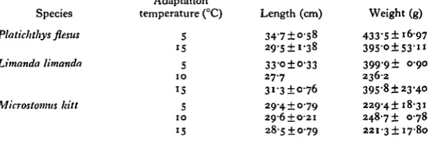 Table 2. Mea« lengths and weights (± S.E.) 0/ the fish usedin the swimming respirometry experiments