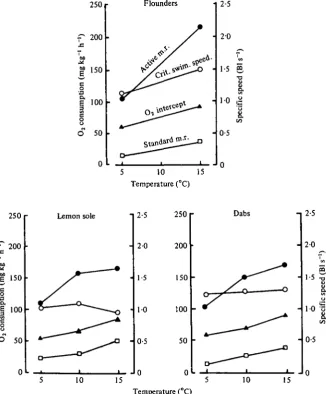 Fig. 3.standard oxygen consumptionspeed Effect of adaptation temperature on the active metabolic rate # , critical swimming O, intercept of the oxygen consumption-swimming speed regression A, and the • , for the three species of flatfish.