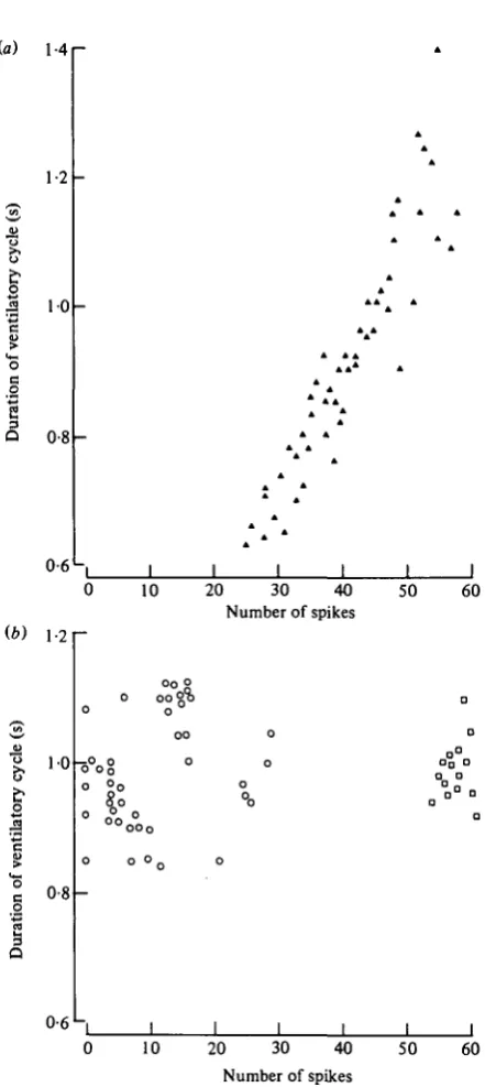 Fig. 8. (a) Graph to show the relationship between the number of spikes in an interneuroneand the duration of the ventilatory cycle (measured from the start of one expiratory burst of