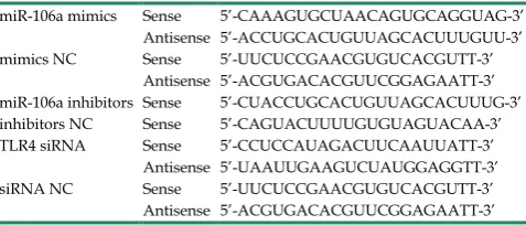 Table 1. Sequences for miR-106a and TLR4 siRNA. 