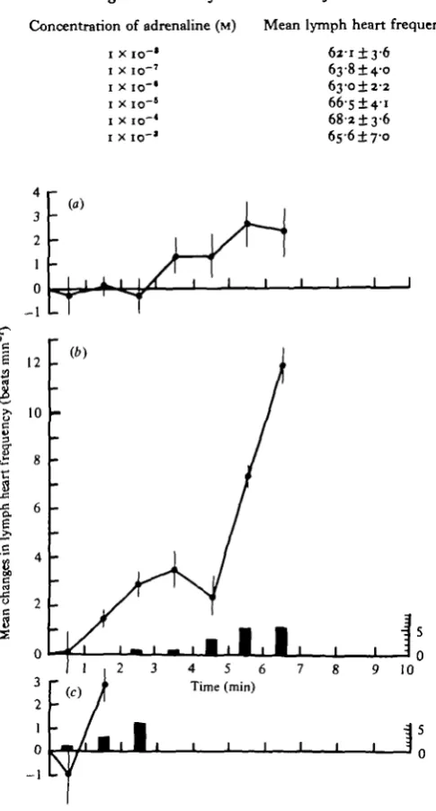 Table 2. Mean lymph heart frequency ± i s.E.M. (n = 8) immediately before the intro-duction of adrenaline during the course of construction of cumulative dose-response curves